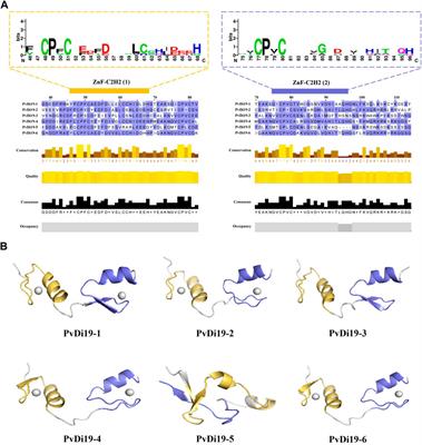 Identification and expression of the Di19 gene family in response to abiotic stress in common bean (Phaseolus vulgaris L.)